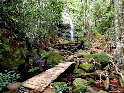 Verão sustentável, estar em contato com a natureza renova as energias para um novo ano. Cachoeira do escorrega-macaco, Taquarussu, Palmas – Tocantins. Foto: Dianes G. Marcelino. Verão sustentável, verão 2019, morte de animais, recolha o lixo, não jogue lixo na natureza, natureza, turismo, viajar, férias, praia, sustentabilidade, animais, marinho, animais marinhos, cidadão consciente, Cachoeira do Escorrega macaco, Taquaruçu, Palmas, Tocantins