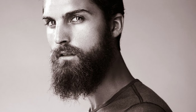 300 Beard: King Leonidas Beard