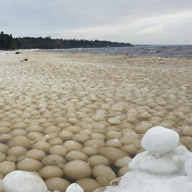 18 Extraordinary Pictures: Filters Fade in Front of Nature’s Magnificence - Ice balls on the Gulf of Finland’s shore 18 Extraordinary Pictures: Filters Fade in Front of Nature’s Magnificence - Ice balls on the Gulf of Finland’s shore