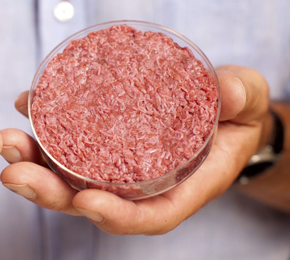 世界最貴的人工牛肉漢堡