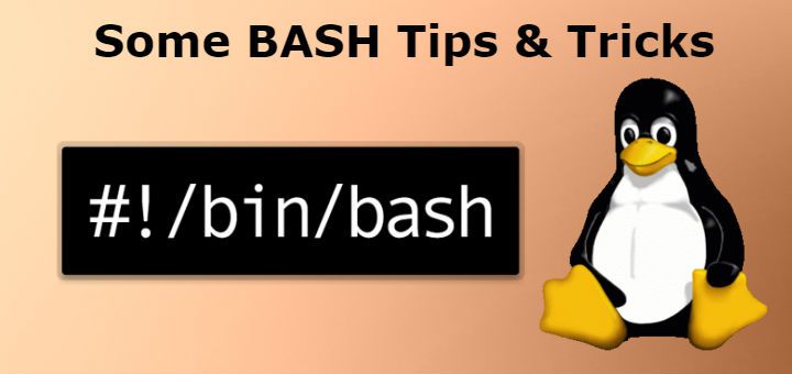 bash find file named bash find file named