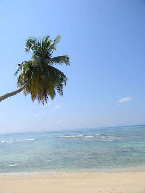 Neil Island Andaman Travel Guide