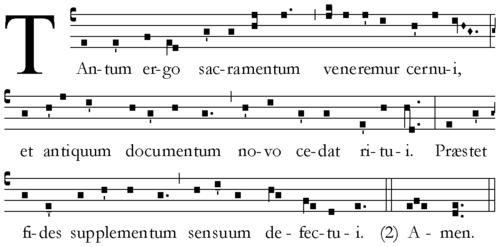 Lord, show me your hidden wound.: Holy Thursday: Pange Lingua/Tantum Ergo