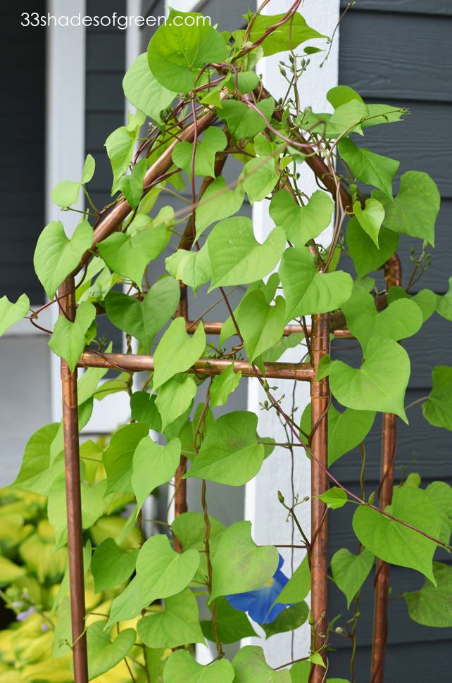 33 Shades of Green DIY Copper Trellis Tutorial