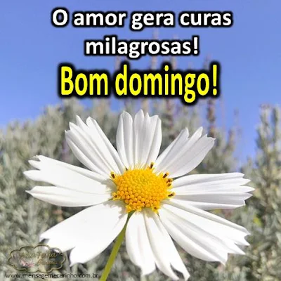 amor.jpg