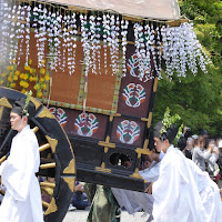 京都御苑・葵祭　牛車