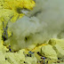 Life Cycle of Sulphur Predicts Location of Valuable Minerals