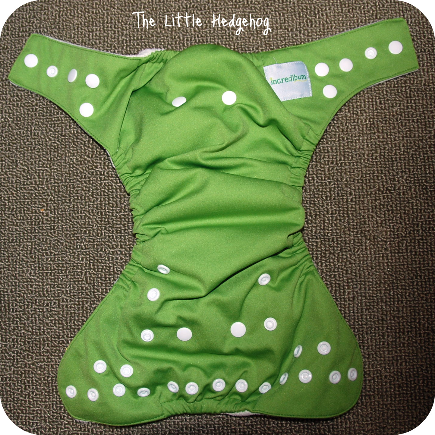 the little hedgehog Incredibum Bamboo Cloth Diaper Review & Giveaway!