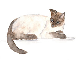 cat watercolor painting cats siamese prints animals kitty flowers flower drawing