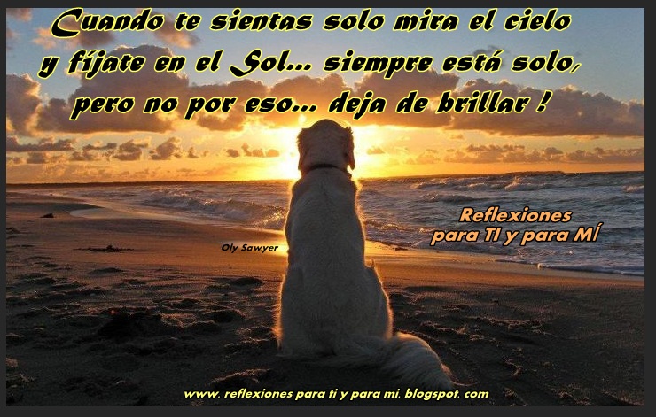 Imagen relacionada