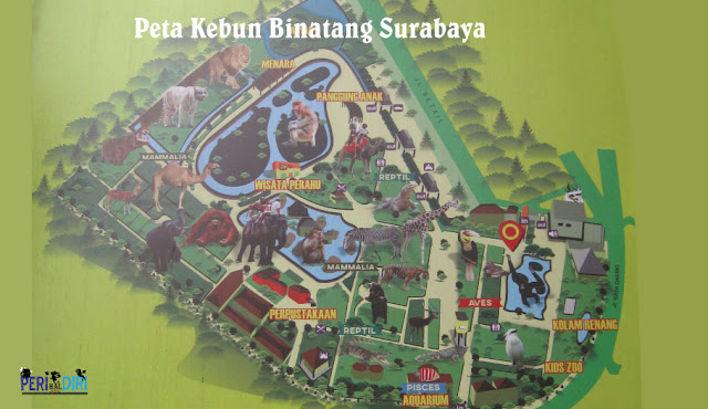 Liburan Asik Dengan Belajar Mengenal Binatang Di Kebun Binatang Surabaya
