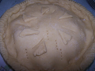 Gluten Free Chicken Pot Pie, so darn good