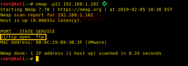 FTP penetration testing Ubuntu