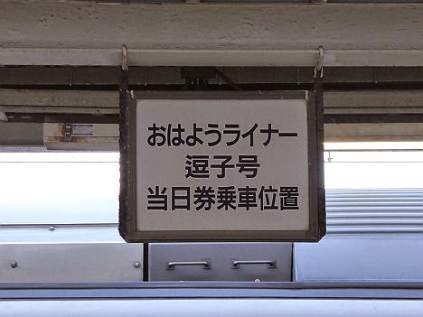 おはようライナー逗子　E257系(2015.3廃止)