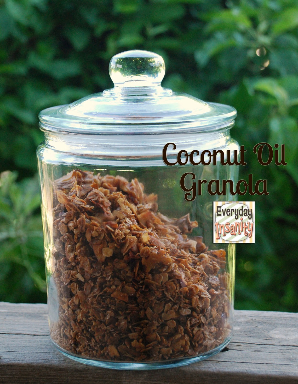 Everyday Insanity... Coconut Oil Granola