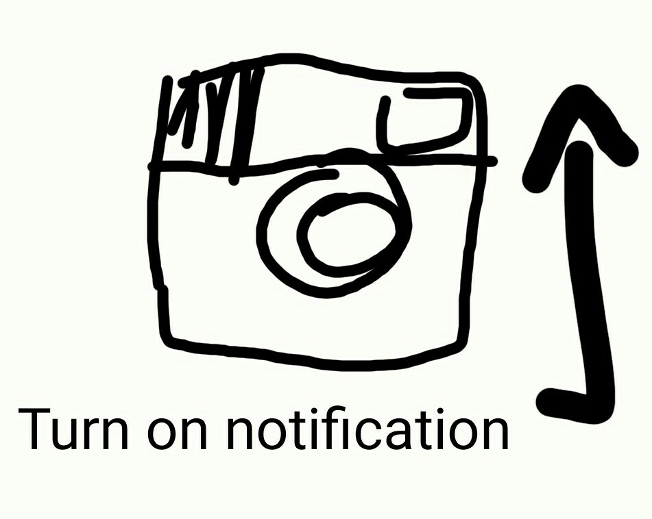 News about Instagram algorithm change can affect follow news feed