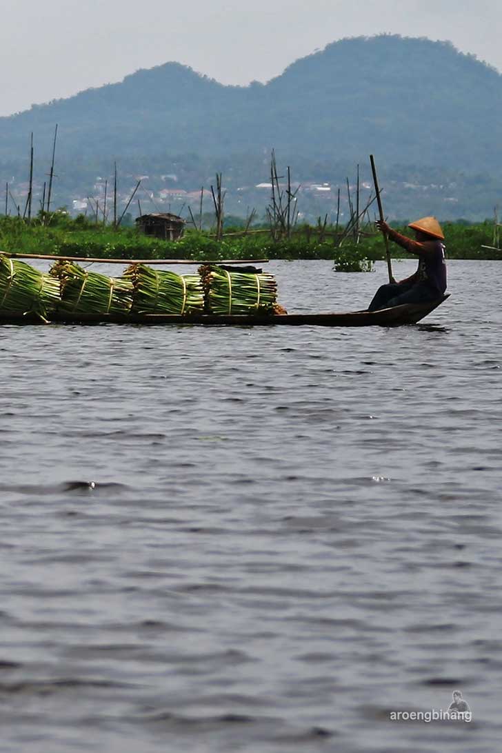 rawa pening banyubiru semarang