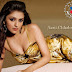 Indian Hot Actress Aarti Chhabria Stills from Facebook on 2013