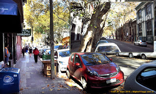 Rua do Bairro Cordon | Montevidéu Rua do Bairro Cordon | Montevidéu