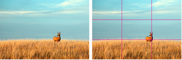 Divida mentalmente o visor da câmera em três colunas e três linhas, como se fosse um jogo da velha OU acione este recurso em seu aparelho (diversas câmeras oferecem esse recurso, que pode ser visualizado na tela de LCD; a maioria dos celulares modernos também; verifique as configurações de seu aparelho).
