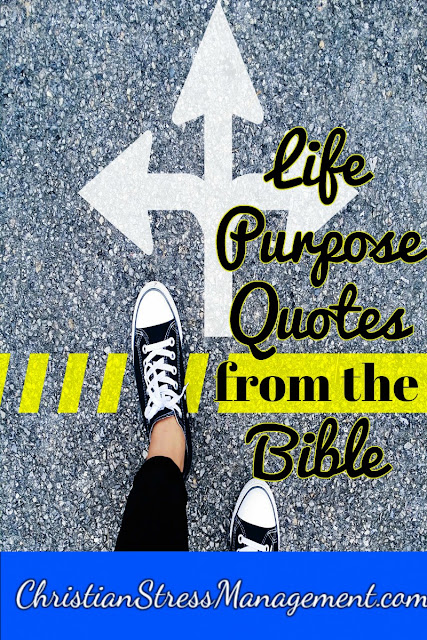 Life Purpose Quotes Cool Christian Stress Management Life Purpose Quotes From The Bible Life Purpose Quotes Stunning Christian Stress Management Life Purpose Quotes From The Bible
