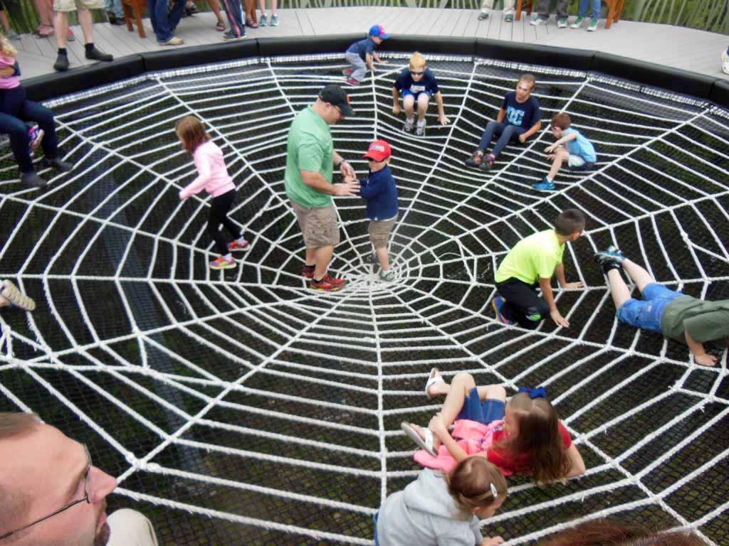 ADK Forever Wild Wild Walk at the Wild Center!