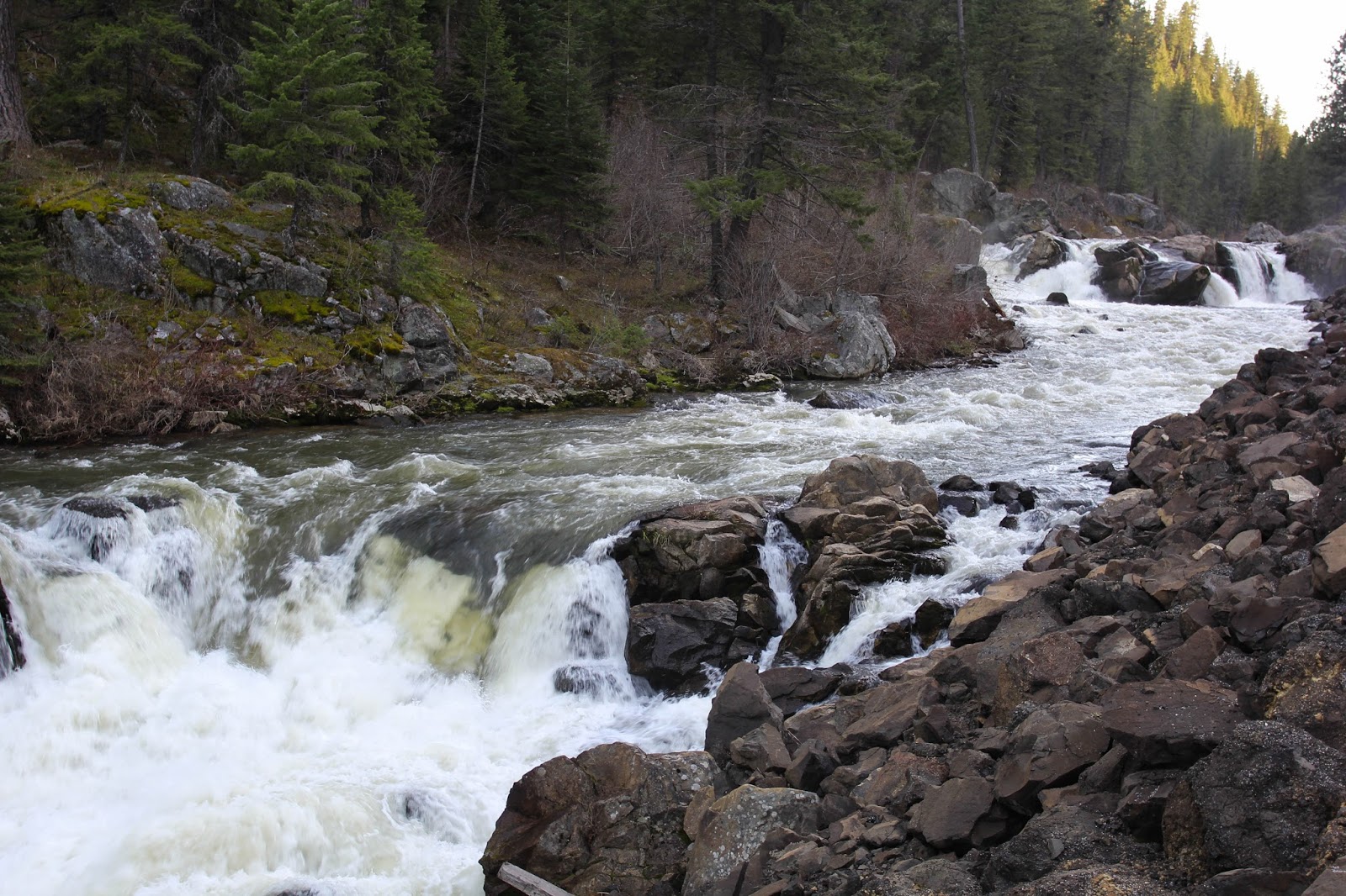 Paul Morrow Photo's Lower Little Salmon Falls, Adams County Idaho