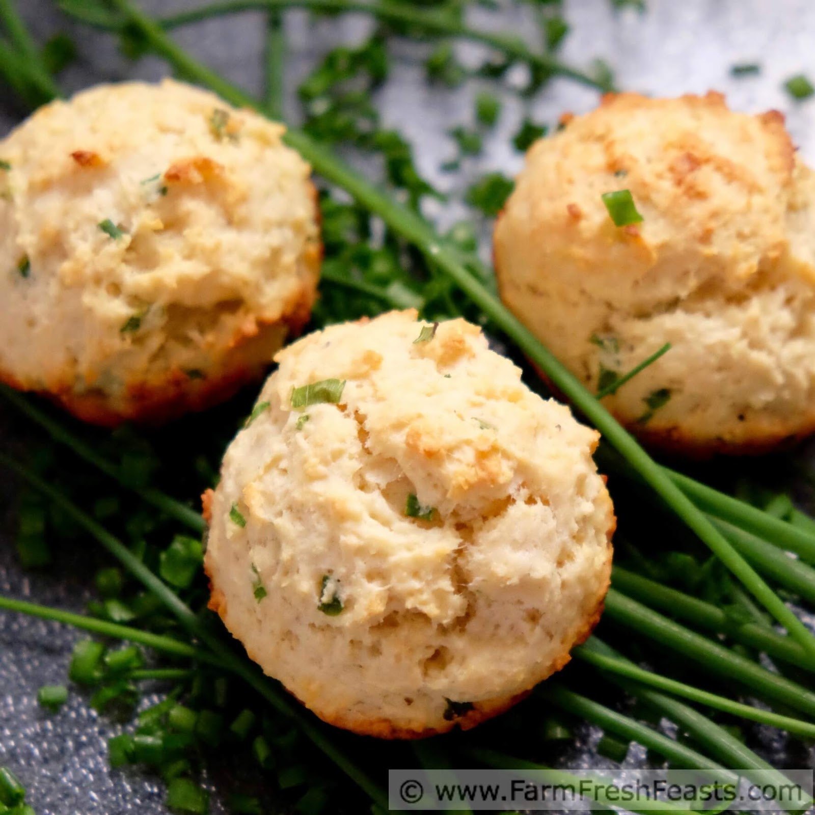 Farm Fresh Feasts: Fresh Chive and Ricotta Muffins #MuffinMonday