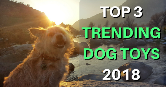 trending dog toys