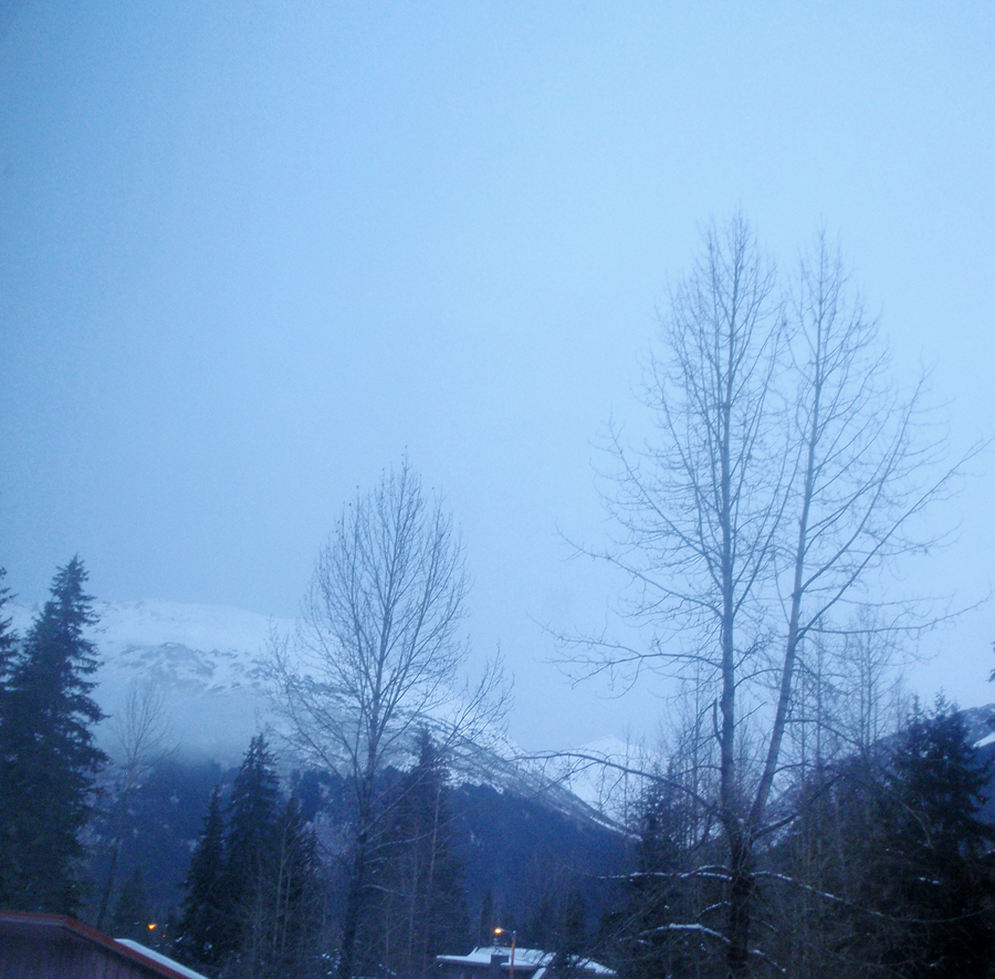 Observations of Girdwood, Climactic and Natural Damp Air