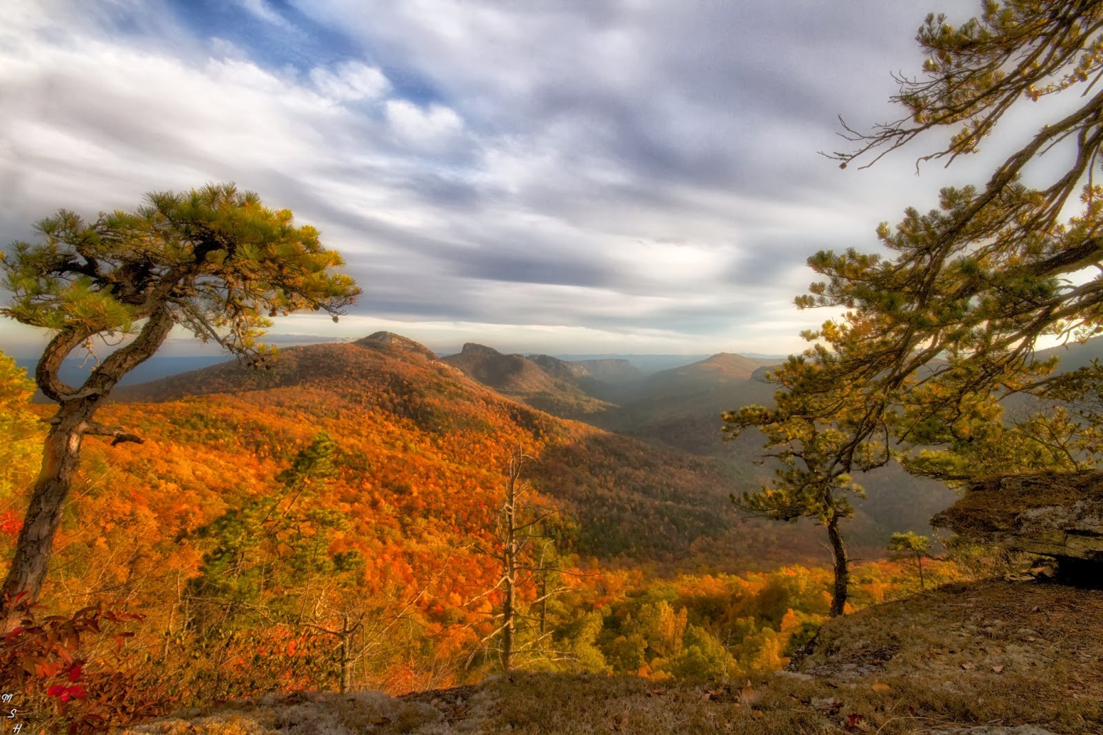 The Musings of Sojourner Some Fall Photos of the Linville