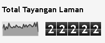 Page Views 22222