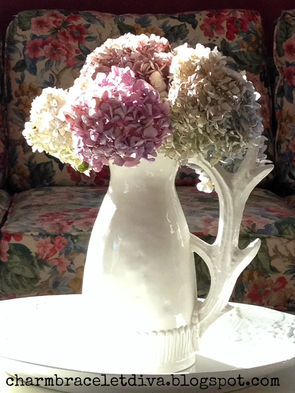 Anthropologie Surroyal pitcher antler vase coffee table