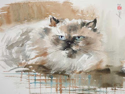 watercolor cat cats painting exot demo dvd