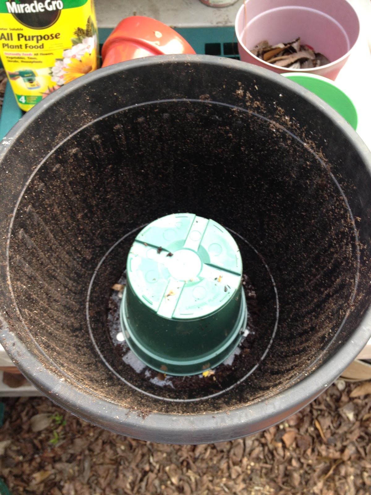 Lemon, Bean and Things Soil Saver & Recycle Trick!