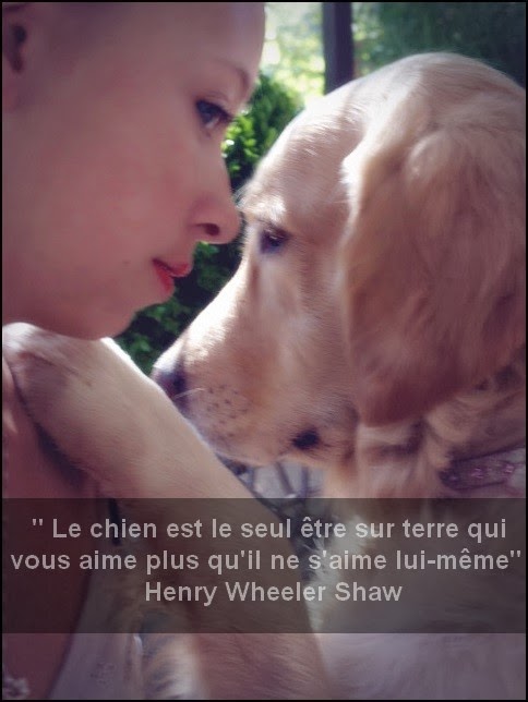 Bianca Animals Blog Autre Citations Chiens Et Chats