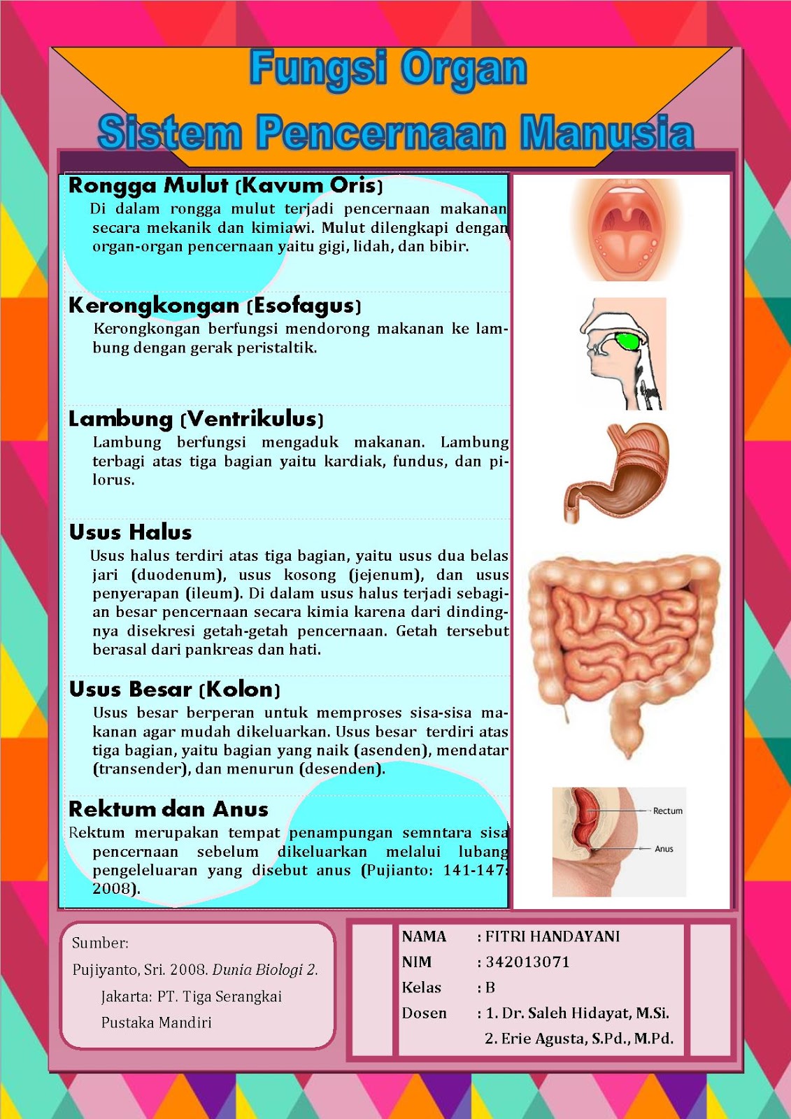 Terbaru 10 Gambar  Poster  Organ Pencernaan  Gani Gambar 