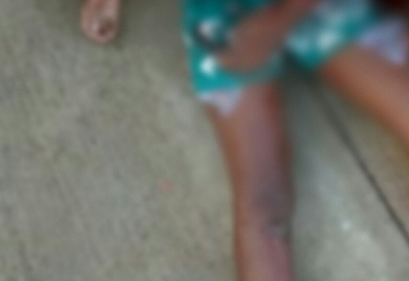 Niña de seis años pierde la vida tras caerle portón de escuela en La Vega Niña de seis años pierde la vida tras caerle portón de escuela en La Vega