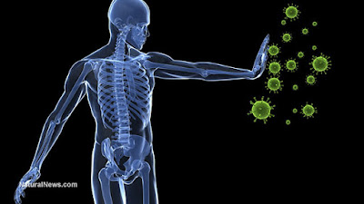 Cara Agar Terhindar Dari Virus Berbahaya Masuk Kedalam Tubuh http://obatherbalterbaik14.blogspot.com/2017/04/cara-agar-terhindar-dari-virus.html