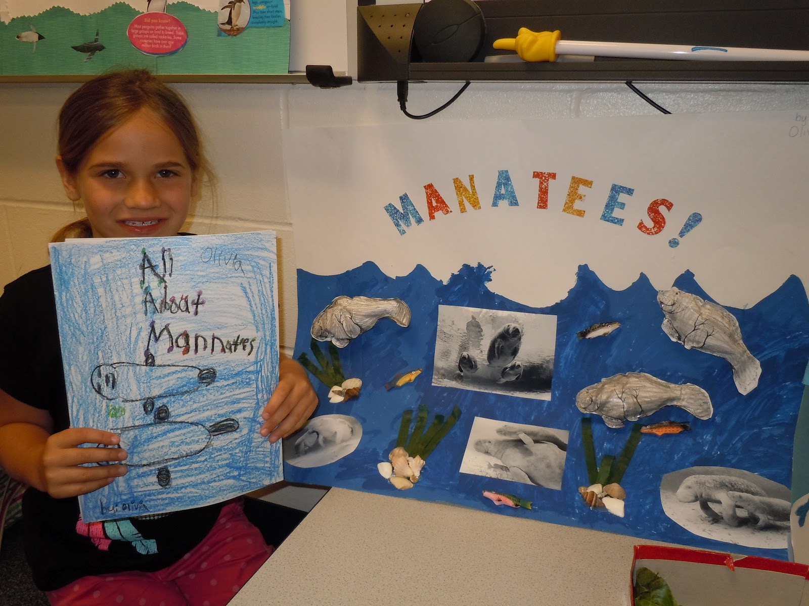 animal research projects for elementary students