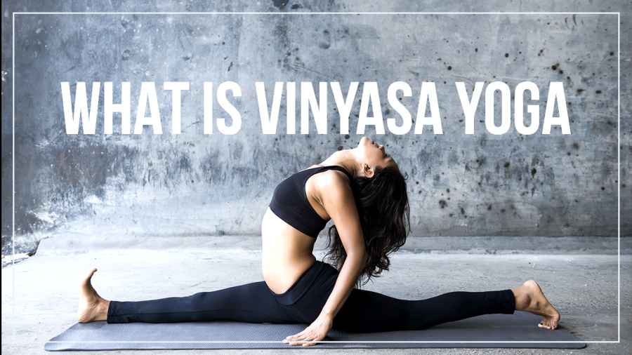 Vinyasa Style Yoga Vinyasa Style Yoga
