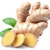 Herbs of the World - Ginger