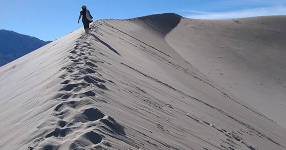 The Path of Life: Choosing the wise path