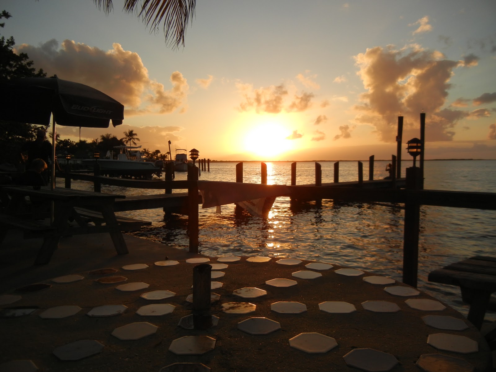 The World According to Garth Riley Dog Friendly Florida Keys