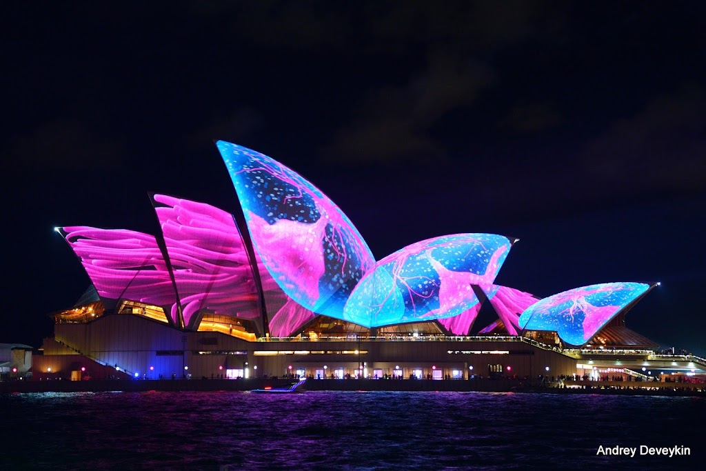 Vivid Sydnay