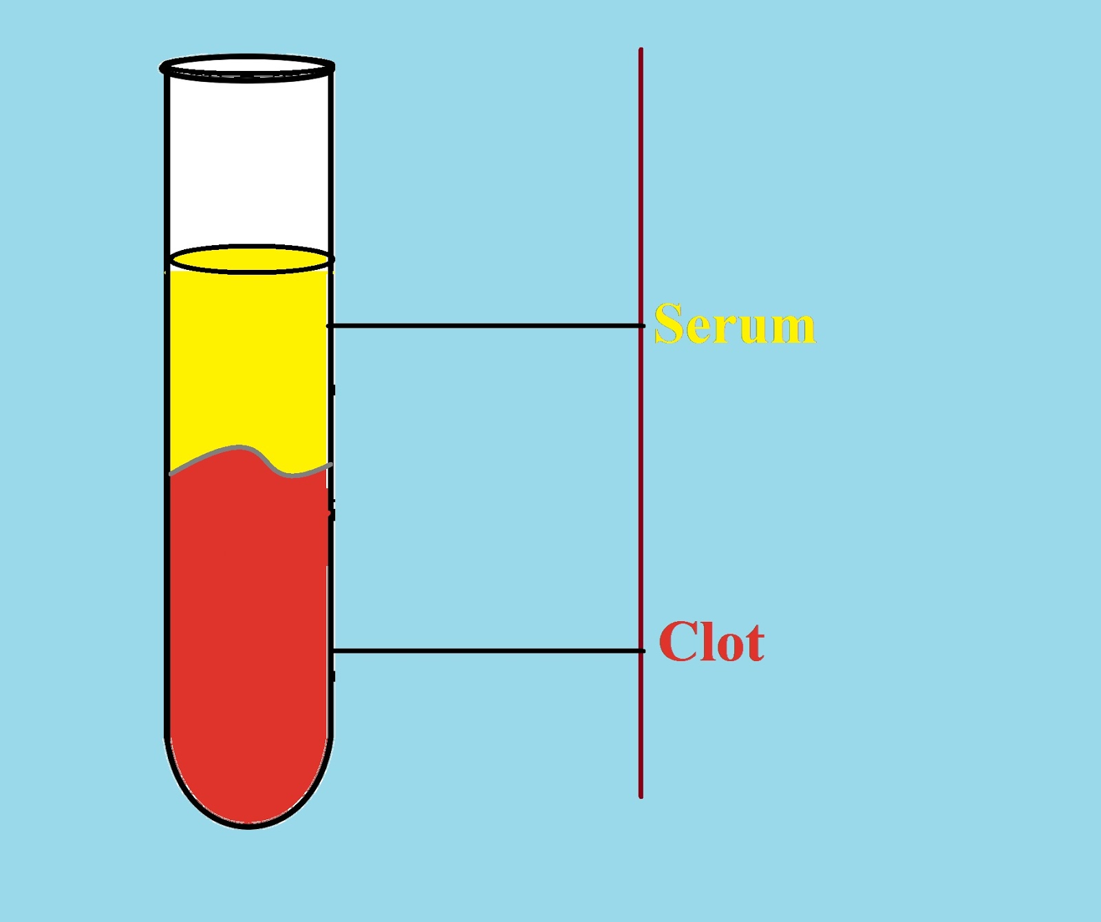 Separation of Serum & Plasma from blood centrifugation Medical
