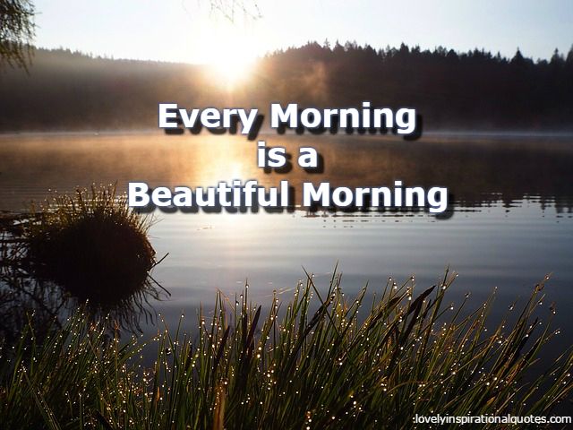 Good Morning Have a Nice Day Ahead Quotes Sms