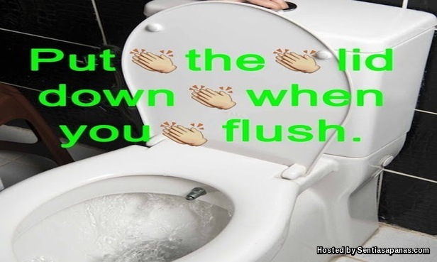 9 Perkara Biasa Kita Buat Dengan Cara Yang Tidak Betul Flush jamban