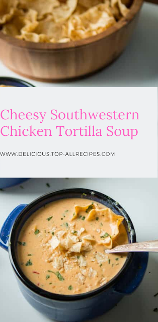 Cheesy Southwestern Chicken Tortilla Soup (Gluten Free + Healthy)