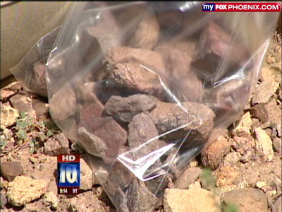 archaeological dig dinosaurs